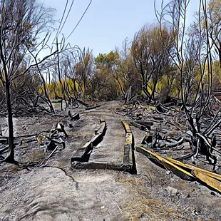 Corteva Wetlands Preserve