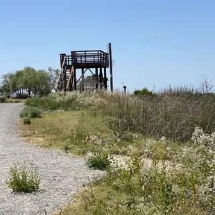 Corteva Wetlands Preserve