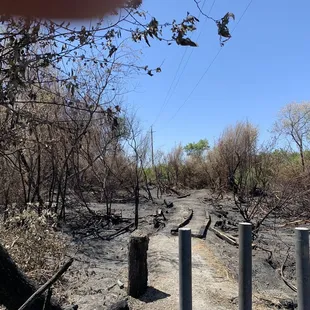 Looks like the only open trail is burned and filled with broken glass/trash.