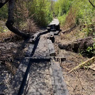 Corteva Wetlands Preserve