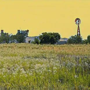 Corteva Wetlands Preserve