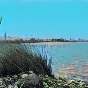 Corteva Wetlands Preserve