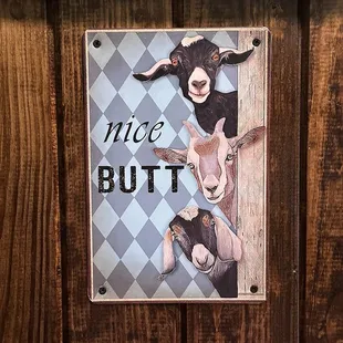 May 2024 What you see in the ladies room when you sit down.