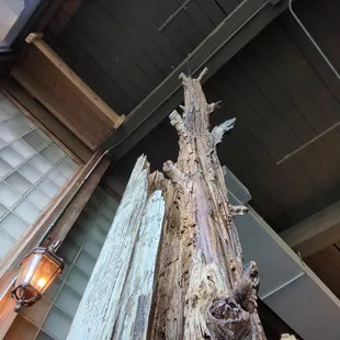 See how as the beam rotted the " tree within" was exposed