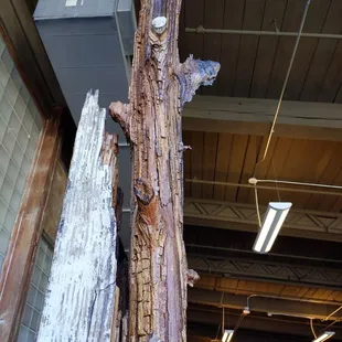 Beam decomposing reverting back to a tree!