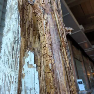 As the square beam cut from log rotted,the tree within reveald itself. Amazing