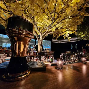 Bar view and libations