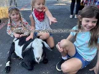 A One of a Kind Pony Party