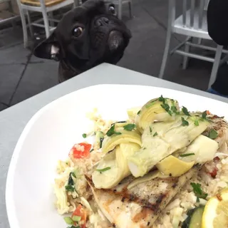 Grilled Mahi Mahi