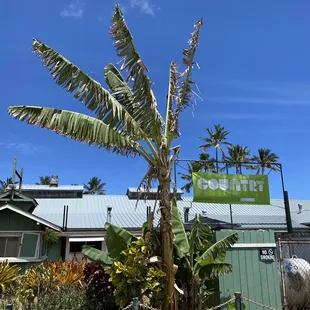 To the right of the gas pumps.