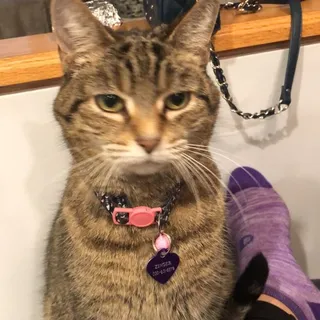 Abby D.