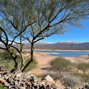 The view from the patio