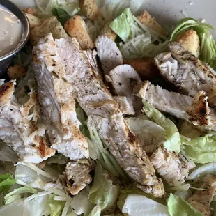 Chicken Caesar Salad