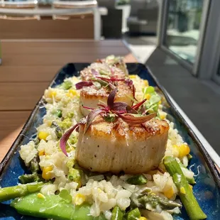 Plancha Seared Jumbo Sea Scallops
