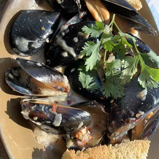 Curry Mussels