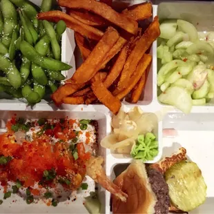 Fusion Bento Box