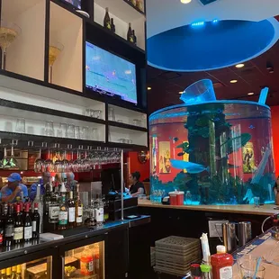 aquarium and bar