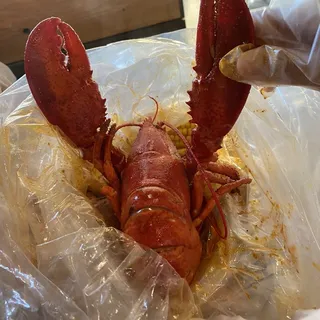 Whole Lobster