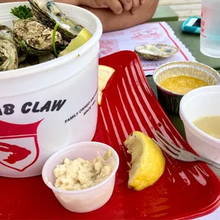 Bucket of oysters