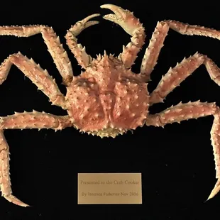 a crab on a black plate