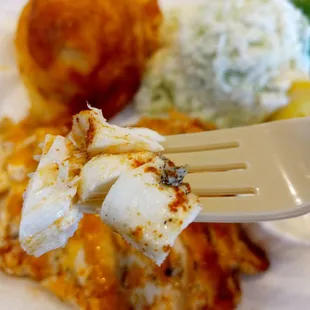 Halibut