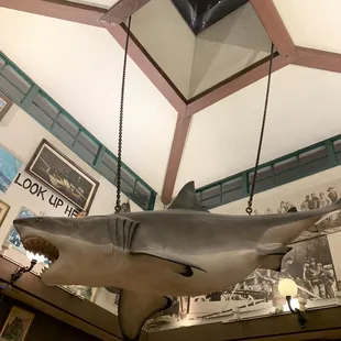 Ceiling Restaurant