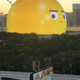 F. J.