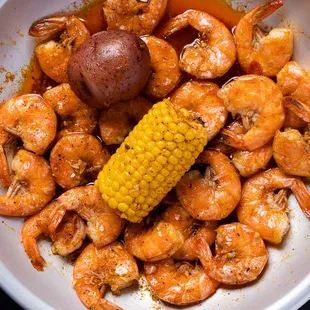 Shrimp with NO Head