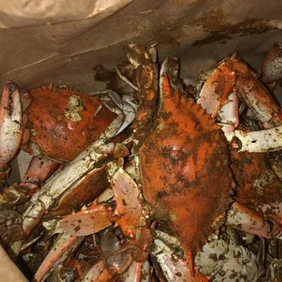 The Crab Depot