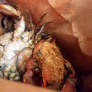 a close up of a crab in a paper bag