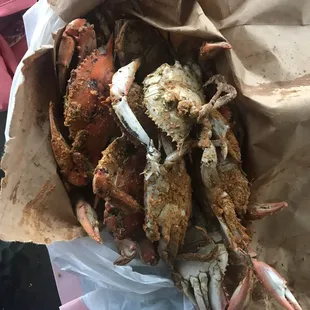 Dozen Crabs