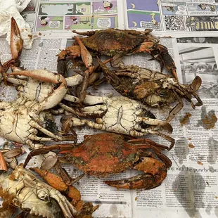 Nasty burnt crabs or so they say " oily crabs"