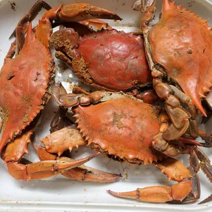 Crabs hit the spot!!