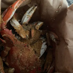 Dozen of Medium Males( Heavy &amp; Meaty) and hot &amp; fresh...