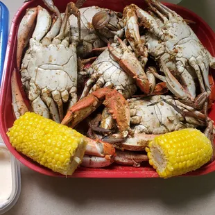 These crabs were a nice size and delicious!! #1 crabs