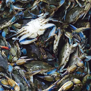 a pile of blue crabs