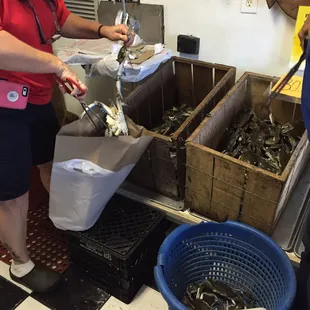 a woman in a red shirt and a man in a blue shirt