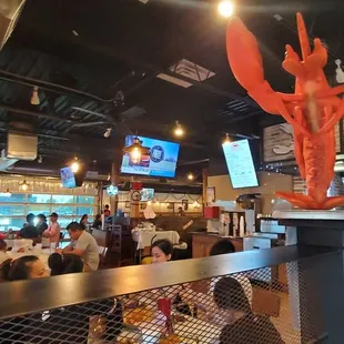 interior, sushi and sashimi