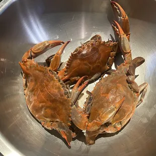 Blue Crab