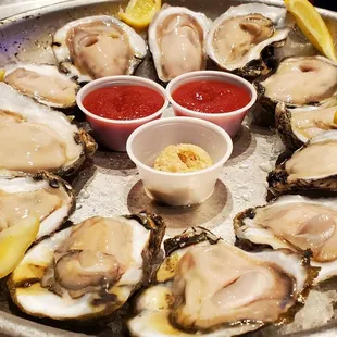 A dozen raw oysters