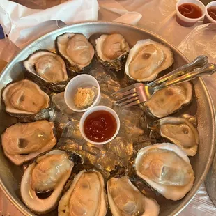Oysters