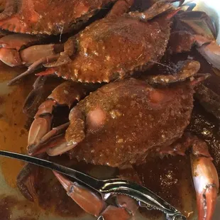 Blue Crab