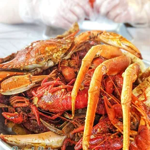 The Crab Station - The Colony