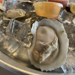 Oyster on The Half Piece Shell