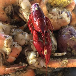 Crawfish