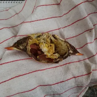 Large males, that's what they said