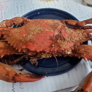 a crab on a blue plate