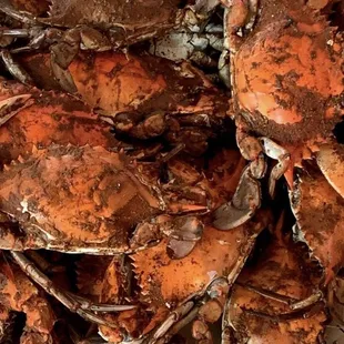 The Crab Trailer
