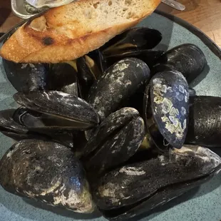 &quot;Big One&quot; Mussels