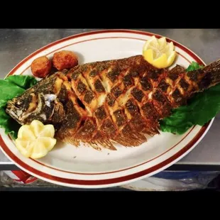 Flounder